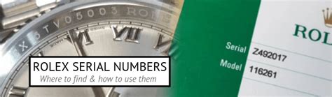 rolex 7393|rolex watch model number lookup.